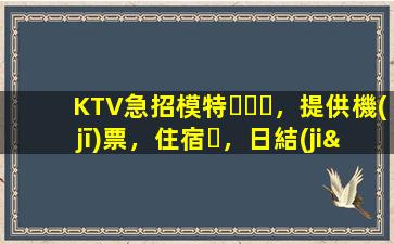 KTV急招模特，提供機(jī)票，住宿，日結(jié)